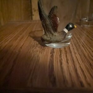 Mallard Duck Shot Glass